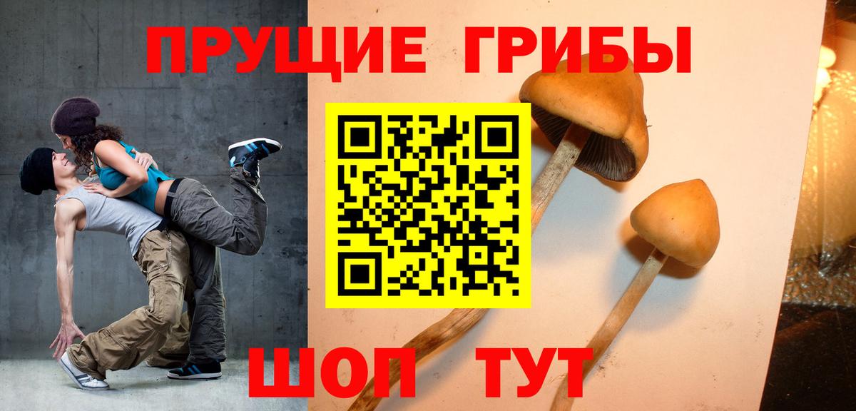 Псилоцибиновые грибы мухоморы Семилуки